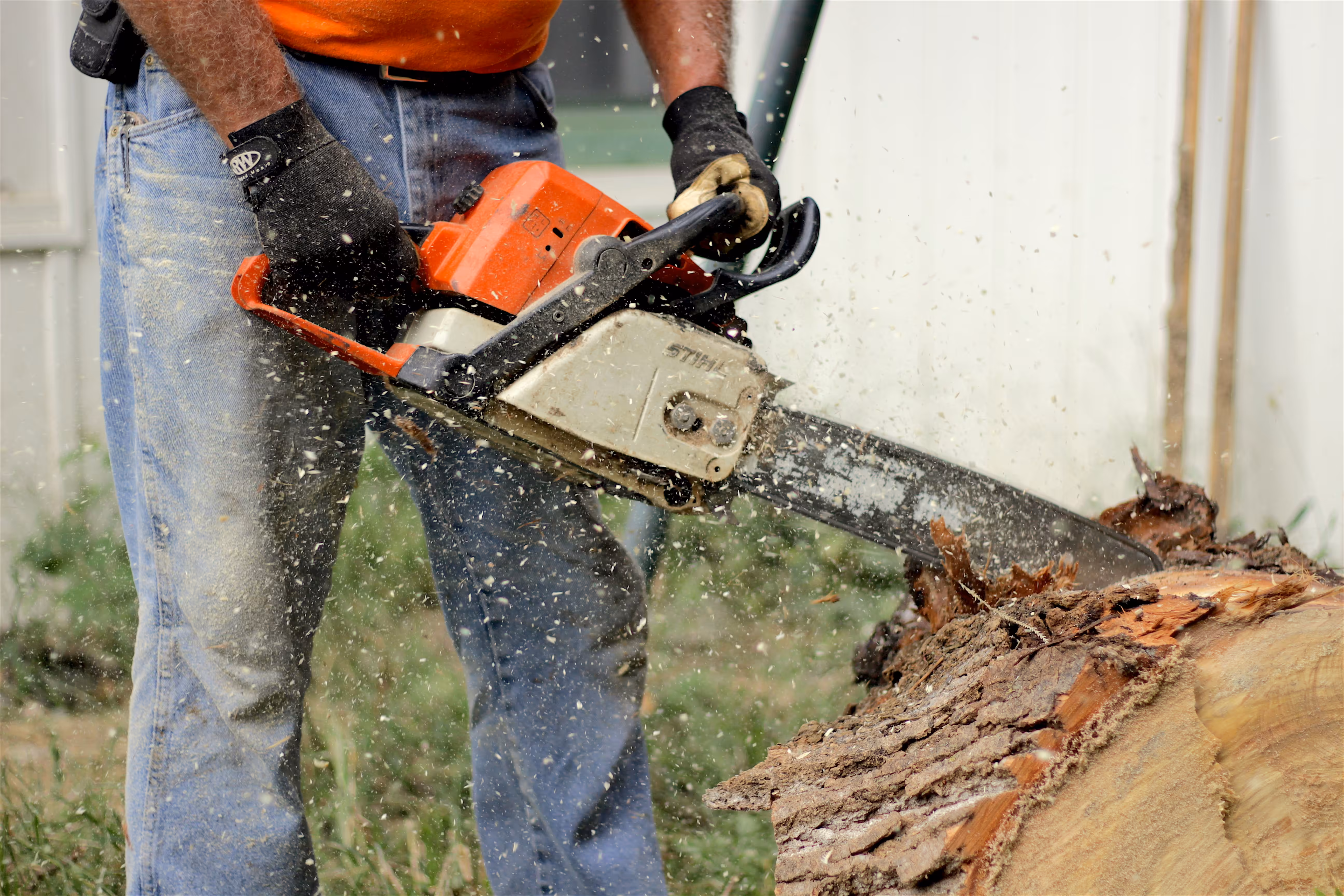 Chainsaw Sharpening, Chain Replacement, and More